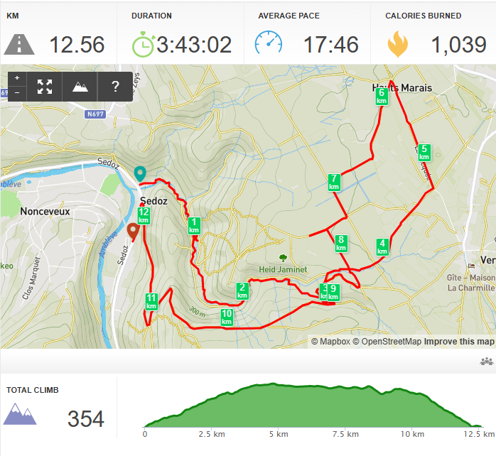 Hike tracking app screenshot showing a 12.56 km route through the Vallon du Ninglinspo with stats and an elevation profile totaling 354 m of climb